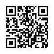 QR: betula-pendula-youngii