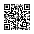 QR: pinus-mugo-carsten-wintergold