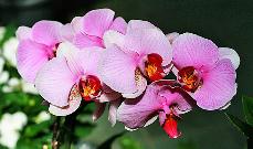 img_2564.jpg