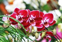 img_2569.jpg